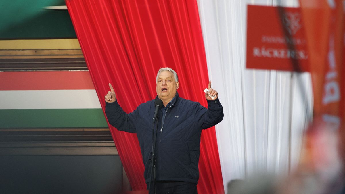 Před maďarskými volbami se aktivovaly falešné účty na síti X