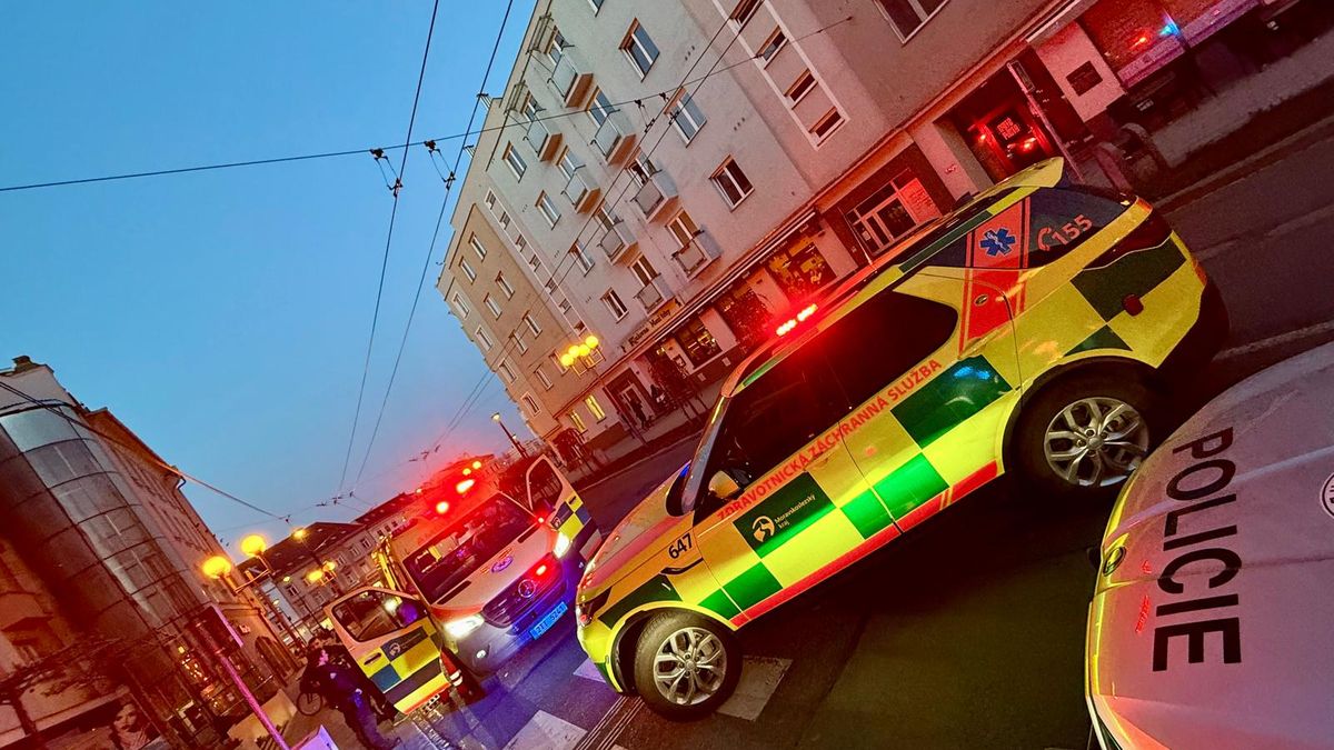 Muž chtěl sundat kočku z římsy v centru Opavy. Po pádu má těžké zranění hlavy