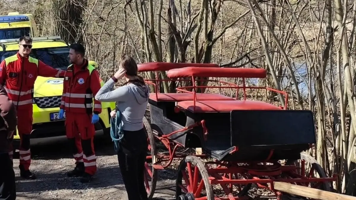 Na Opavsku se splašil kůň, muž po pádu z povozu skončil v bezvědomí
