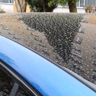 Skvrny po saharském prachu