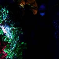 Vesmírná zahrádka, kterou osázelo studio Kashmir