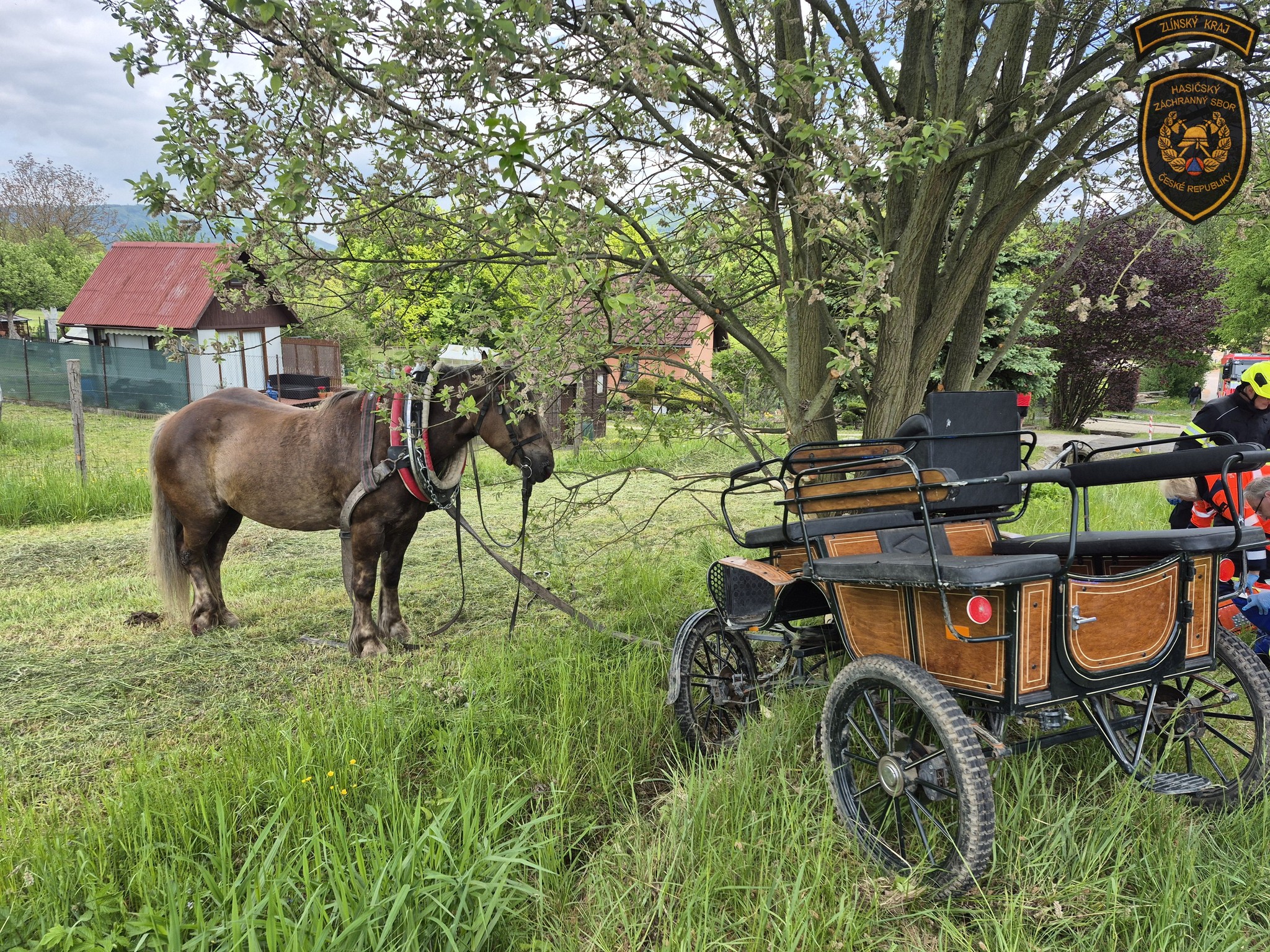 Splašení koně na Vsetínsku narazili s povozem do stromu, tři zranění včetně dětí