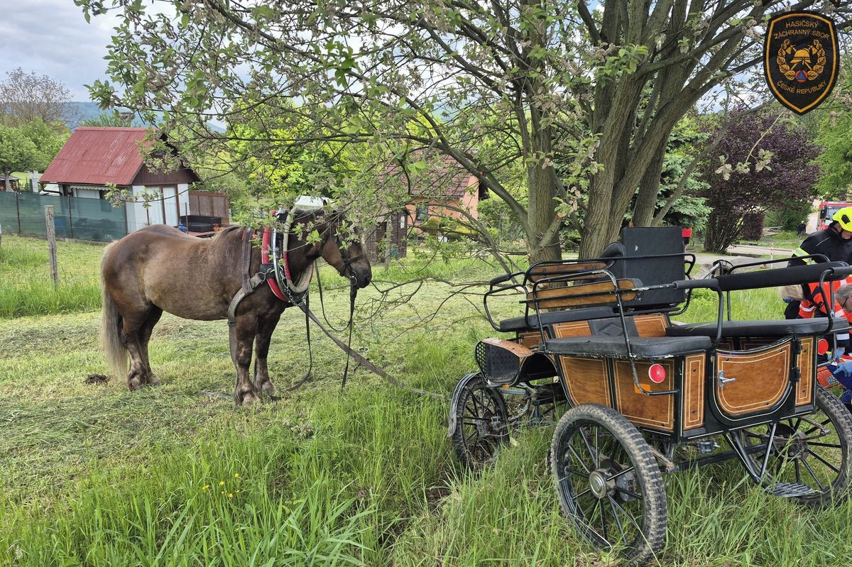 Splašení koně na Vsetínsku narazili s povozem do stromu, tři zranění včetně dětí