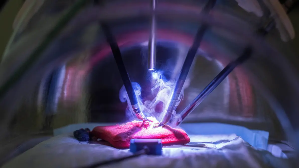 V Praze se budou školit v robotických operacích i lékaři z okolních zemí