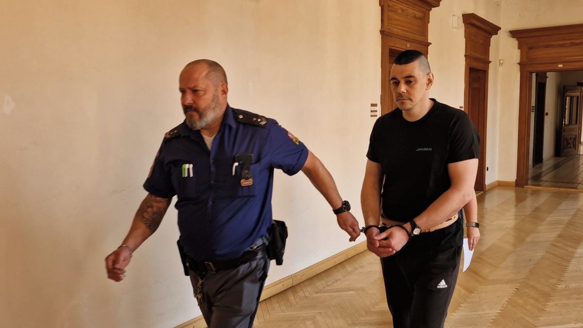 Ukrajinec s mikrobusem napálil na dálnici D2 do kamionu a zabil tři lidi. Dostal 4,5 roku