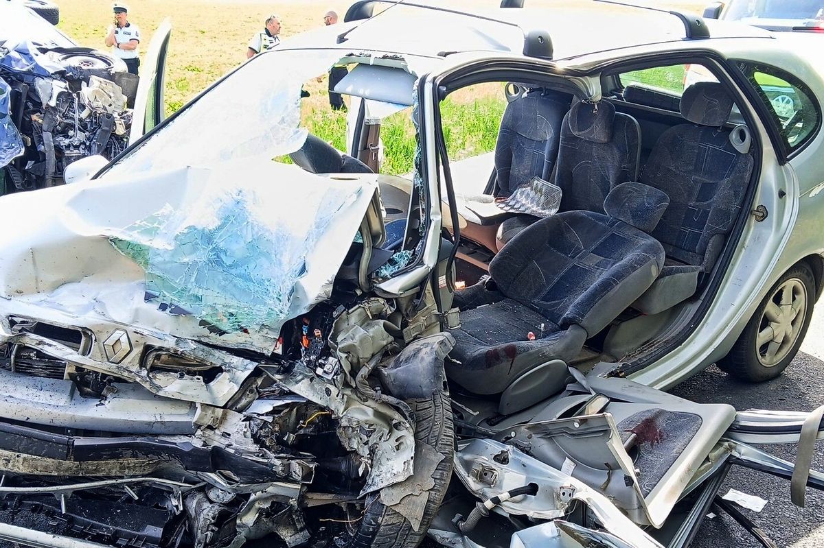 Seniorka bourala na Domažlicku. Hasiči ji z vraku vyprostili, zachránili i fenku 