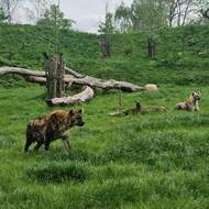 Oproti době svého vzniku se zoologická zahrada proměnila k nepoznání.