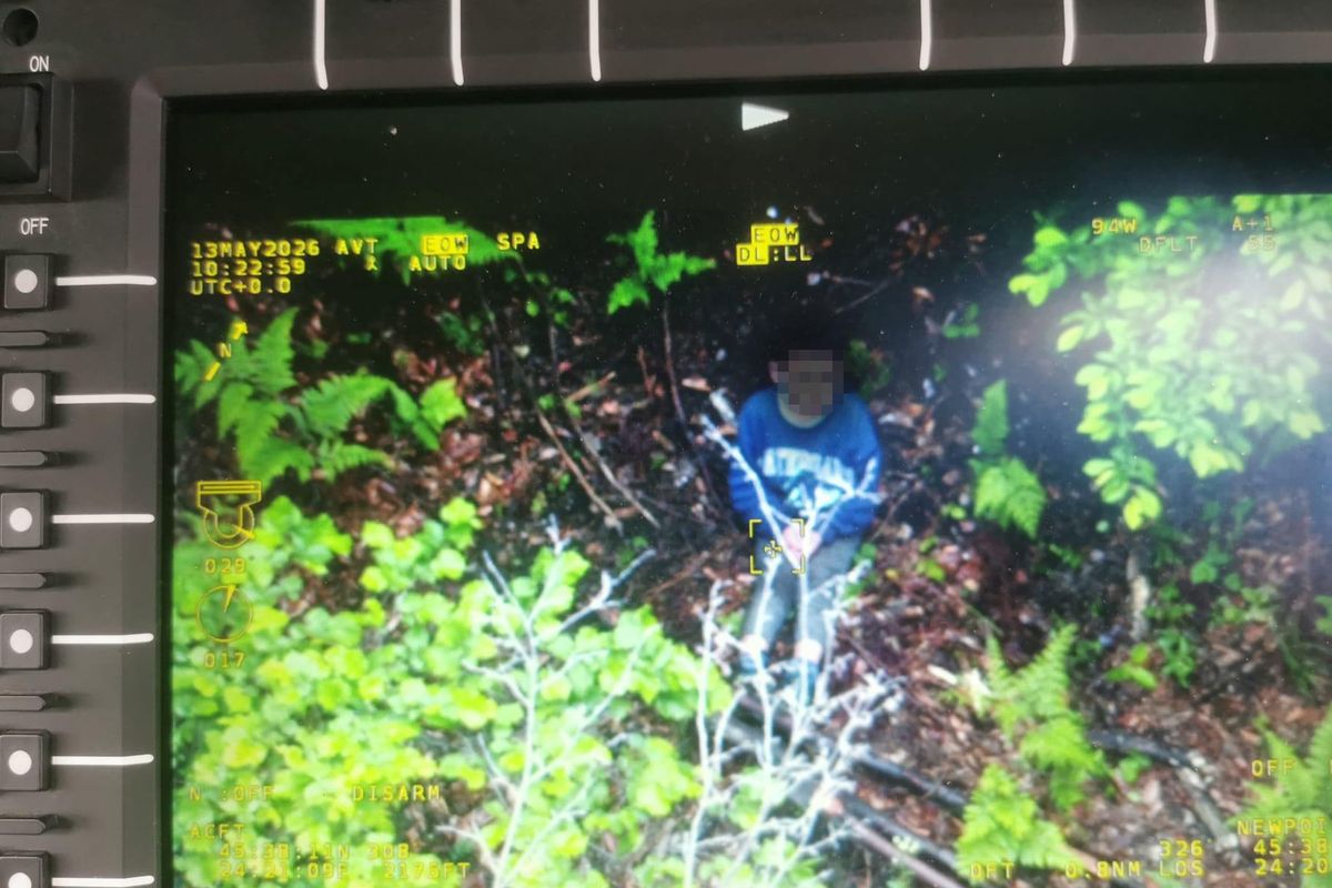 Pětiletý rumunský chlapec přežil tři dny v lese plném medvědů