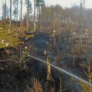 Hasiči požár lesa likvidovali celou noc.