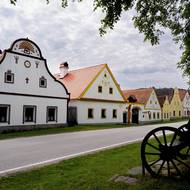 Podle posledního sčítání žije v Holašovicích přes dvě stě lidí v 67 domech. Památkovou ochranu má 23 budov.