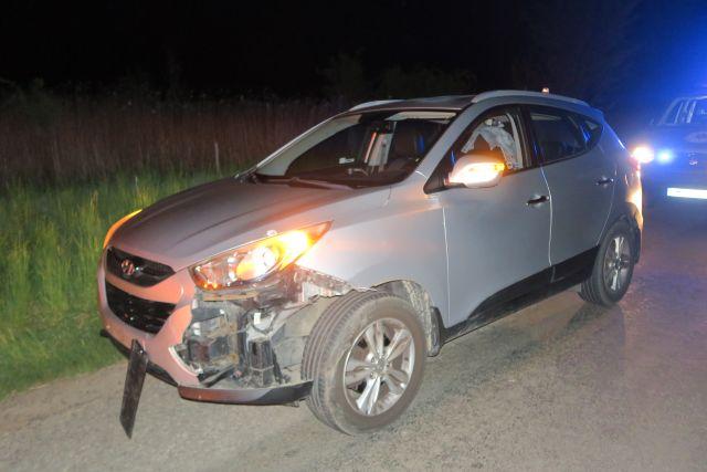 Řidička na Prostějovsku srazila autem srnce, skončila v nemocnici. Škoda 160 tisíc