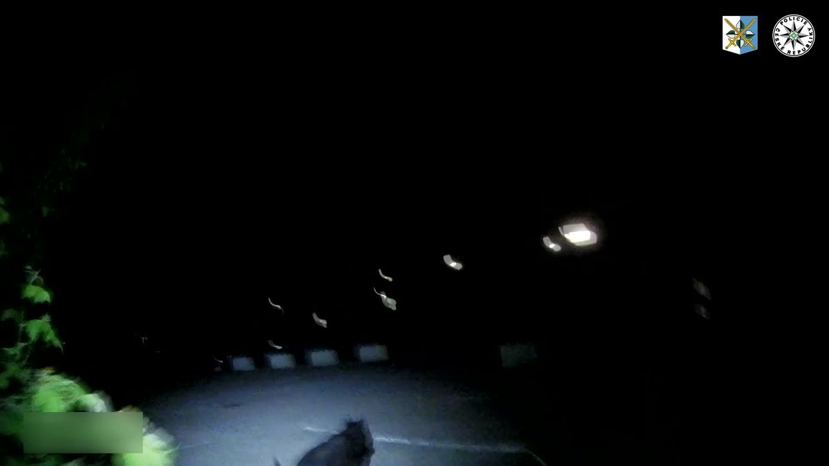 Návrat k lupu z benzinky v Karviné se pachateli nevyplatil. V křoví ho vypátral policejní pes