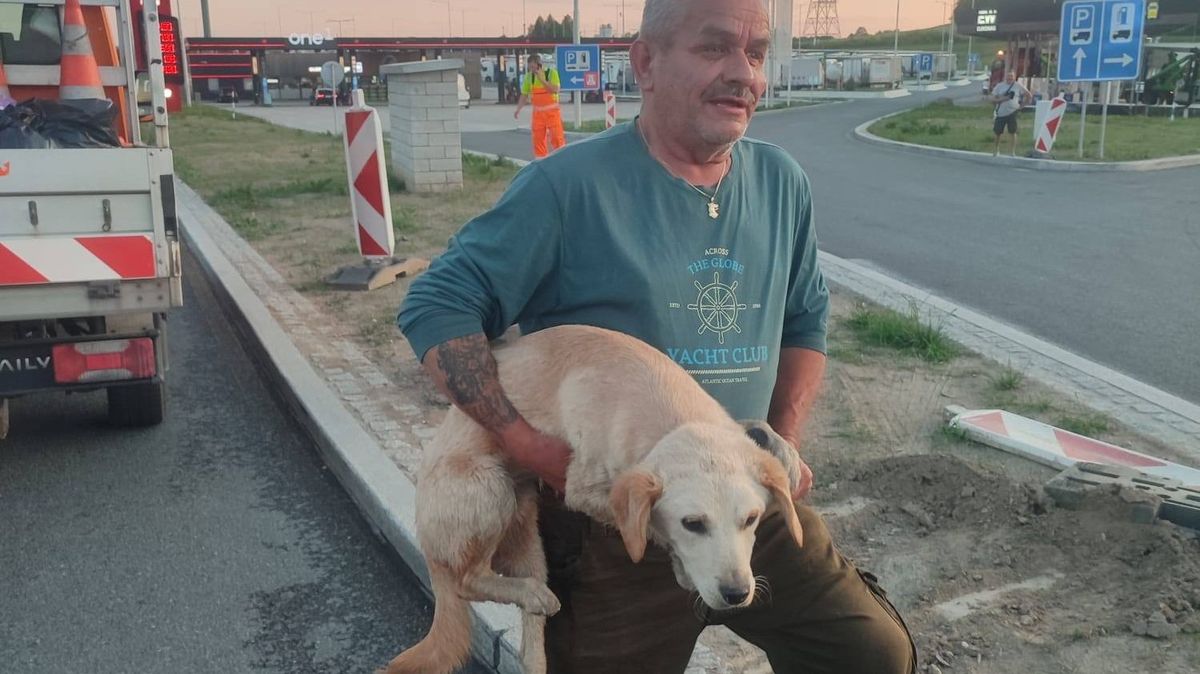 Na dálnici u Rozvadova dva dny pobíhal zatoulaný pes