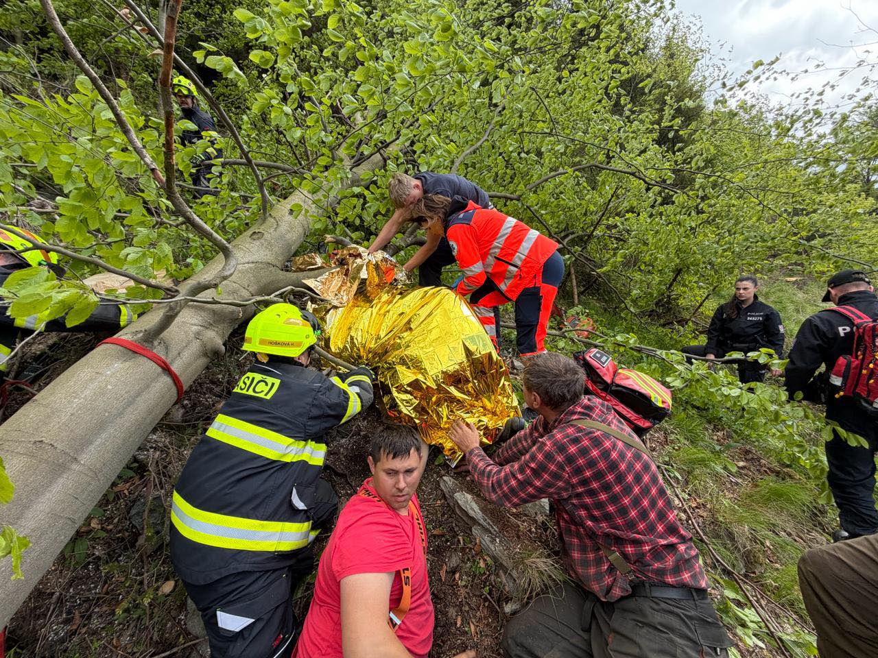 Lesního dělníka zavalil na Jesenicku strom. Záchranáři jej museli snést z těžko přístupného terénu