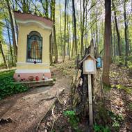 Kaplička sv. Prokopa je na staré poutní cestě do Prahy.