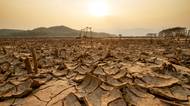 Blíží se super El Niño. Před 150 lety přispělo k hladomoru milionů lidí