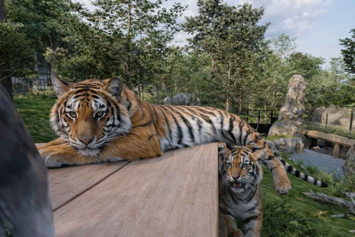 V Liberci vzniká nová ZOO na zelené louce, první práce už začaly 