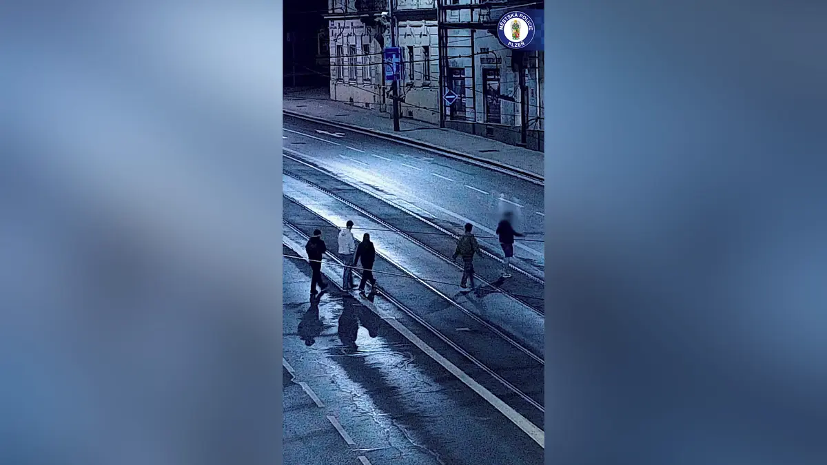 Mladík v Plzni zahodil nemohoucímu muži hůl a šel se bavit. Z baru ho záhy vytáhli strážníci