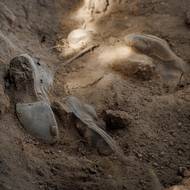 Archeologický výzkum odhalil v hloubce necelého metru kosterní pozůstatky čtyř mužů.