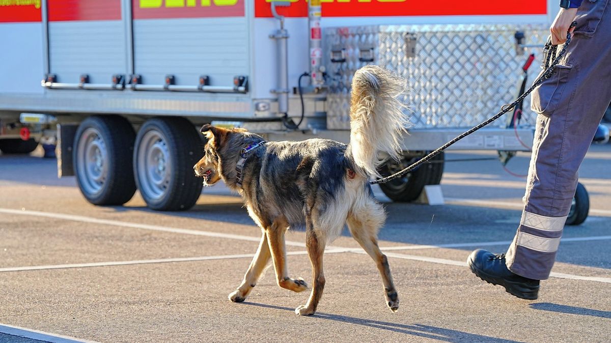 Matka v Německu vynášela do bytu nákup, někdo jí unesl z kočárku dítě. Policie našla kojence mrtvého v potoce