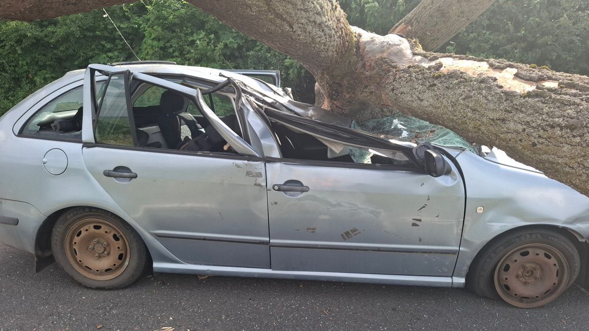 Na auto na Olomoucku spadl mohutný strom. Řidič měl neuvěřitelné štěstí