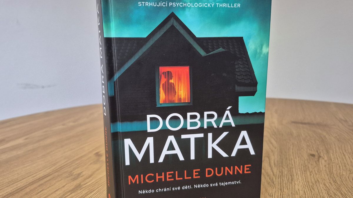 RECENZE: Thriller Dobrá matka ctí ženu, která bojuje, i když o všechno přišla
