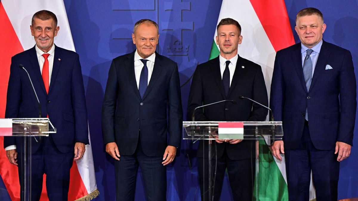 V4 je zpět, oznámil Magyar. Jsem z toho nadšený, liboval si Babiš