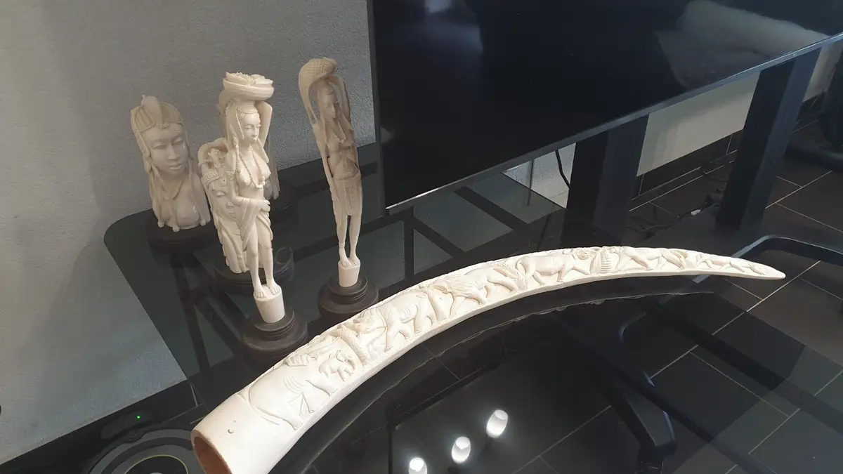 Muž nabízel v Česku slonovinu, bylo kvůli nim zabi