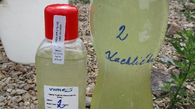 PŘEHLEDNĚ: Hygienici vydali první zákaz koupání v Česku. Zjistěte, kde hrozí zdravotní problémy