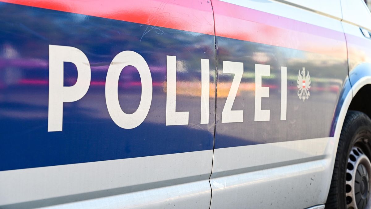 Starší řidička omylem najela v Rakousku do restaurace, kde byla skupina českých školáků