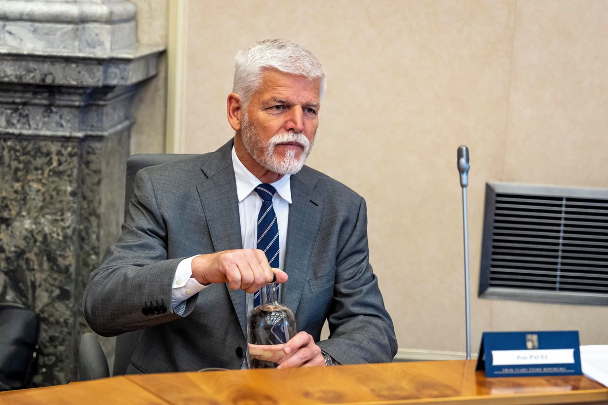 Pavel povede delegaci na OSN, rozhodla vláda