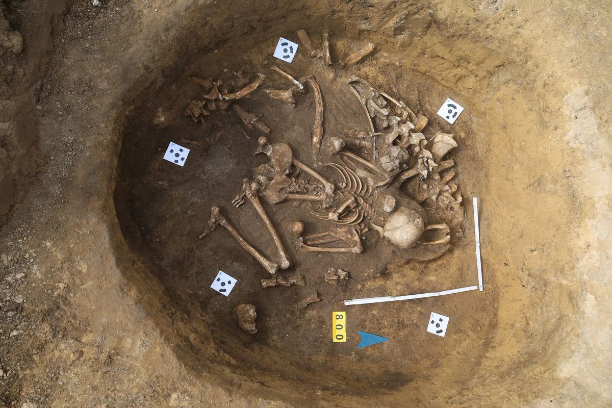 Archeologové našli na Prostějovsku hrob z doby železné. Dítě je v něm pohřbené s krávou
