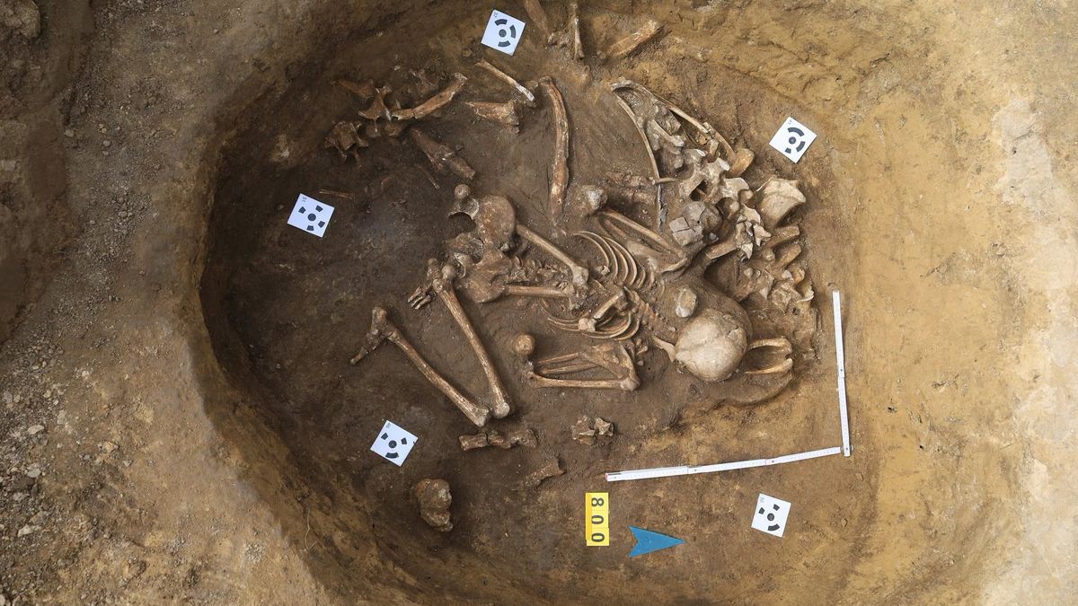Archeologové našli na Prostějovsku hrob z doby železné. Dítě je v něm pohřbené s krávou