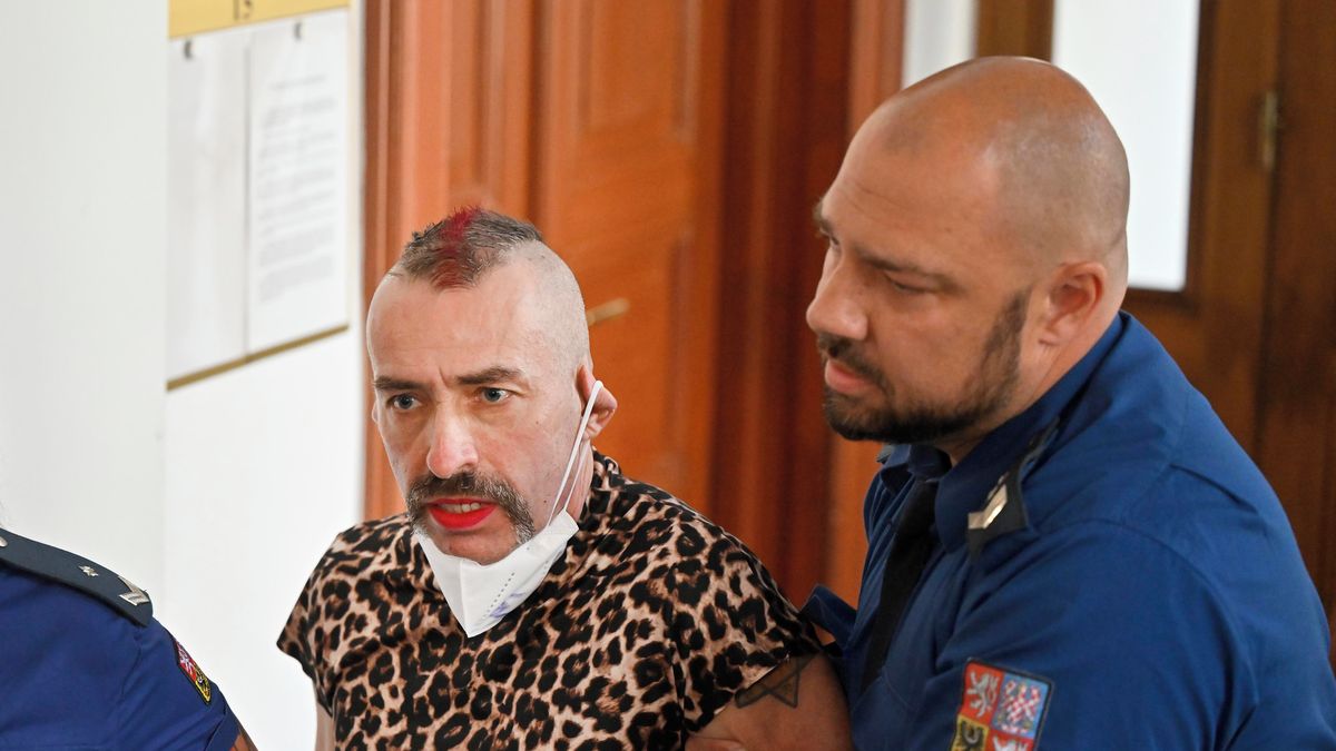 Soud vydal extremistku Liebichovou do Německa