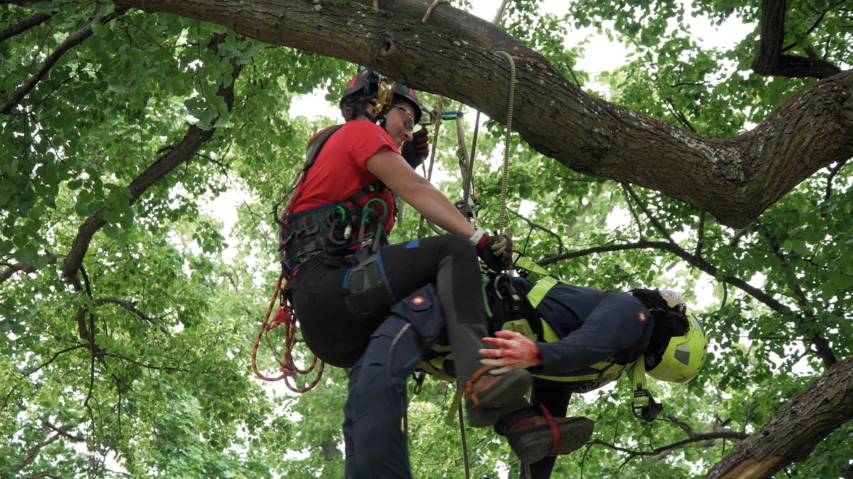 Muži jsou spíš řezníci, ženy jsou citlivější, říkají arboristé. Své dovednosti poměřují na mistrovství ve stromolezení