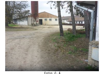 Gang zlodějů, který mimo jiné zabil a ukradl prasata jihočeským zemědělcům, skončil ve vazbě