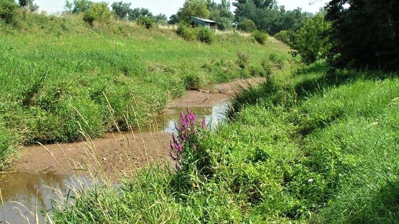 Potoky jsou na suchu. Na Lounsku vyhlásili první zákazy odběrů vody