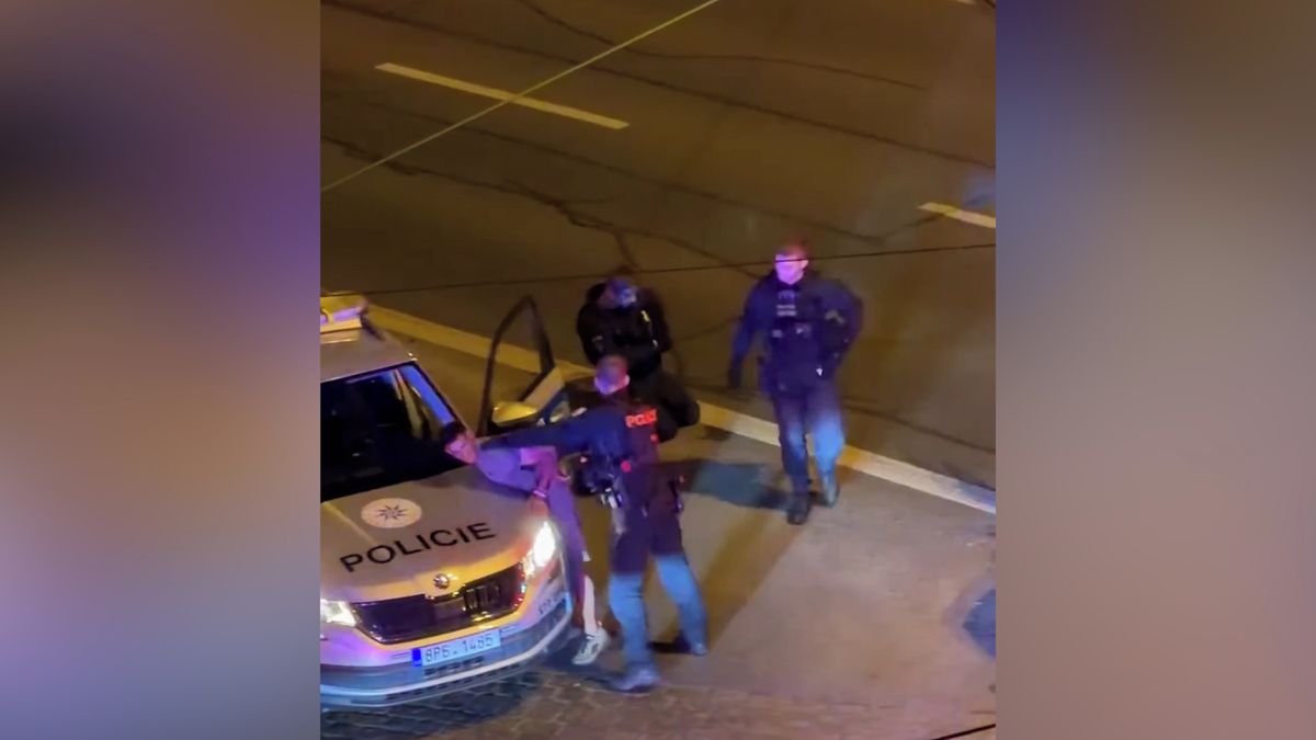 Drsné video ze zákroku v Plzni. Policista bije zpacifikovaného muže