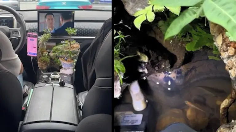 Čínský taxikář překvapil cestující, v kabině vytvořil zátiší s jezírkem a bonsají