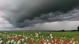 Česko odpoledne znovu zasáhnou silné bouřky, varují meteorologové