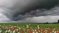 Česko odpoledne znovu zasáhnou silné bouřky, varují meteorologové