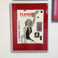 Marilyn Monroe byla oblíbenkyní médií.