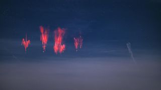 Český fotograf pořídil vzácný snímek rudých skřítků