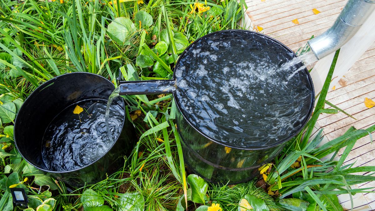 Jak ochránit zahradu ve dnech sucha? Pomoci může i pravidelné okopávání záhonků