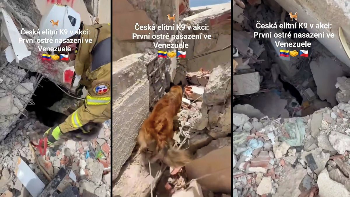 Ve Venezuele hledají přeživší i čeští kynologové