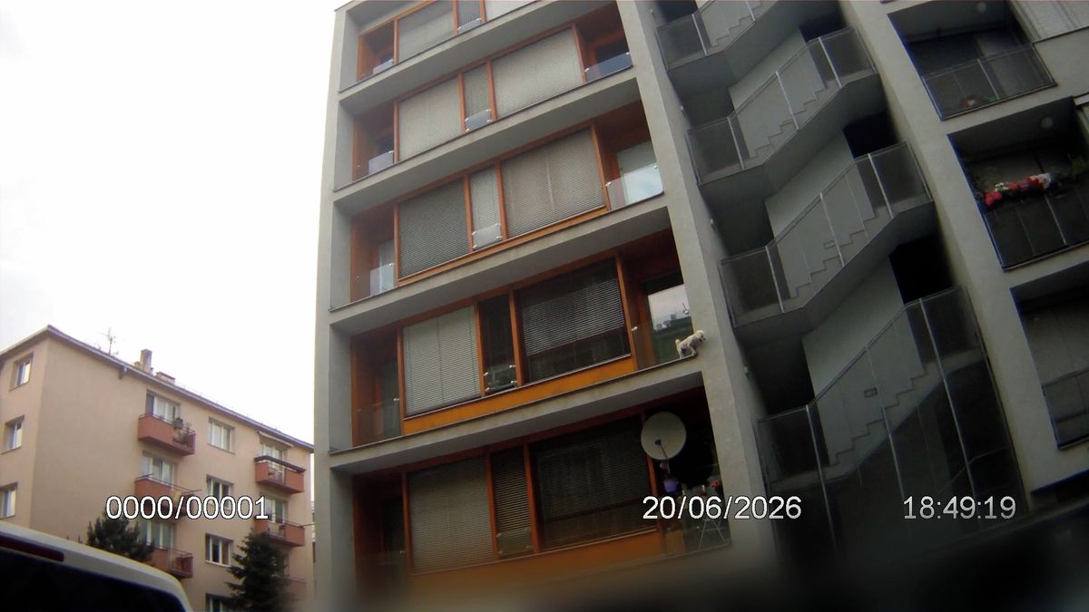 Pes se v Brně procházel po okenní římse a vykláněl se, strážníci se svědky mu napnuli plachtu