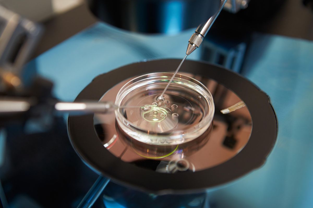 Reprodukční klinika zaměnila embrya, rodiče si cizí holčičku mohou nechat