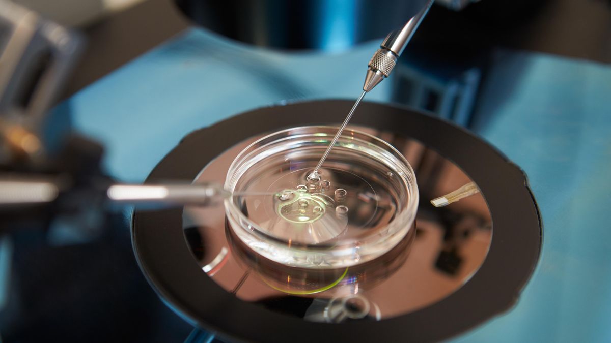 Reprodukční klinika zaměnila embrya, rodiče si cizí holčičku mohou nechat