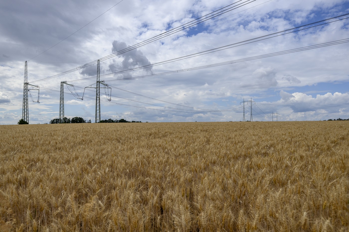 Loňský blackout v Česku měl více příčin, shodli se experti