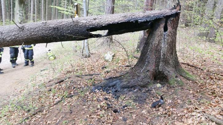 Policisté dopadli a obvinili žháře, co zakládal požáry na Jesenicku